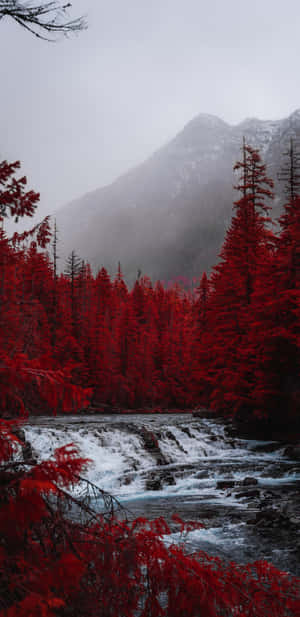 Enjoy The Breathtaking Natural Beauty Of A Quaint Waterfall Wallpaper