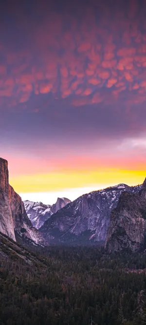 Enjoy The Breathtaking Views At Yosemite National Park On Your Iphone Wallpaper