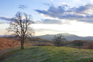 Enjoy The Breathtaking Views On America's Blue Ridge Parkway Wallpaper