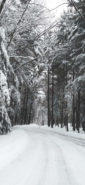 Enjoy The Breathtaking Winter Snowfall With Iphone Wallpaper