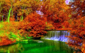 Enjoy The Colorful Splendor Of Fall Wallpaper