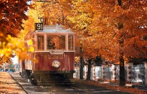 Enjoy The Colors Of Autumn Wallpaper