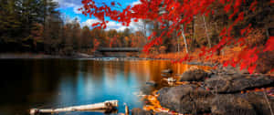 Enjoy The Colors Of Fall Wallpaper