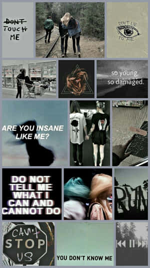 Enjoy The Freedom Of Being Creative And Embracing Your Style With Leo Aesthetic Wallpaper