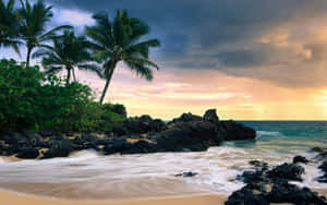 Enjoy The Majestic Beauty Of Hawaii Beach Wallpaper