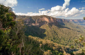 Enjoy The Majesty Of Nature With The Beauty Of Blue Mountains National Park Wallpaper