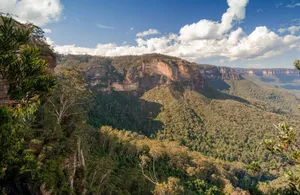 Enjoy The Majesty Of Nature With The Beauty Of Blue Mountains National Park Wallpaper