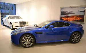 Enjoy The Mesmerising, Bold Vibrancy Of Cobalt Blue Hues Wallpaper