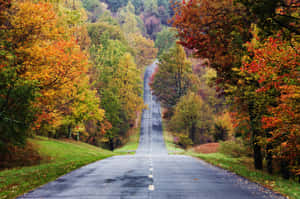 Enjoy The Mesmerizing Landscape At Blue Ridge Parkway Wallpaper