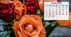 Enjoy The Month Of February With This February Calendar Wallpaper