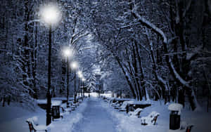 Enjoy The Peace And Beauty Of A Winter Landscape Adorned With Christmas Snow. Wallpaper