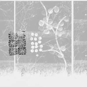 Enjoy The Peace And Serenity Of Japan's White Aesthetic Wallpaper