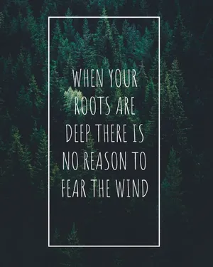 Enjoy The Peace, Quiet, And Serenity Of A Gorgeous Chill Aesthetic. Wallpaper