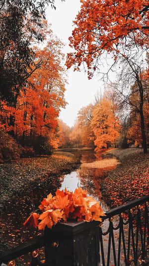 Enjoy The Perfect Fall Wallpaper