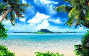 Enjoy The Pristine Beauty Of A Tropical Beach. Wallpaper