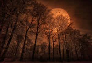 Enjoy The Romantic Atmosphere Of Moon Lighting Wallpaper