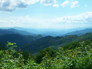 Enjoy The Scenic Beauty Of Blue Ridge Mountains! Wallpaper