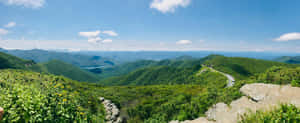 Enjoy The Scenic Sights Of Blue Ridge Parkway Wallpaper