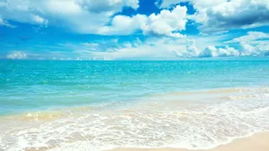 Enjoy The Serene Beauty Of The Caribbean At This Breathtaking Beach. Wallpaper