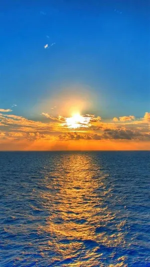 Enjoy The Serenity Of A Nature’s Moment With Your Iphone. Wallpaper