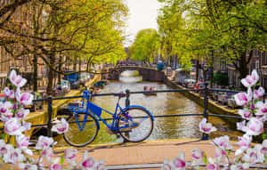 Enjoy The Sights And Sounds Of Amsterdam In The Spring. Wallpaper