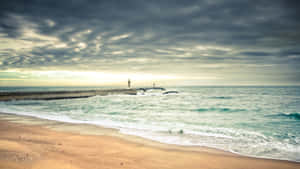 Enjoy The Solitude At A Tranquil Beach Wallpaper