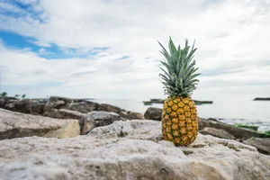 Enjoy The Sugary Sweetness Of Pineapple Right On The Beach. Wallpaper