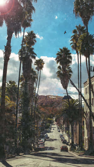 Enjoy The Sunshine With A California Iphone Wallpaper