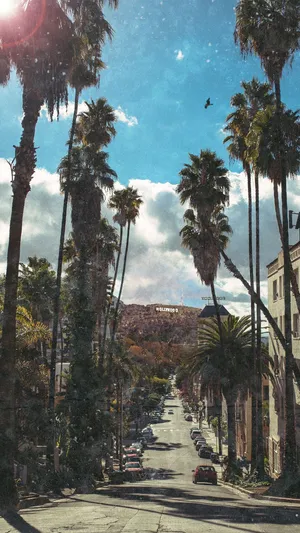 Enjoy The Sunshine With A California Iphone Wallpaper