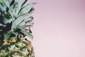 Enjoy The Sweet Taste Of Summer With This Minimalist Pineapple Crown Wallpaper
