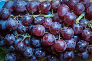 Enjoy The Sweetness Of Freshly Harvested Purple Grapes Wallpaper