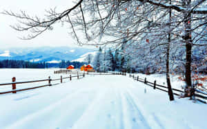 Enjoy The Tranquil Beauty Of A Wintery Landscape Wallpaper