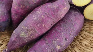 Enjoy The Unique Flavor Of Purple Sweet Potato Wallpaper