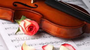 Enjoy The Wholesome Sound Of Classical Music Wallpaper