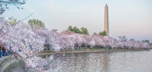 Enjoy This Breathtakingly Magical View Of The Night Sky Wallpaper