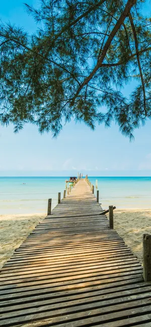 Enjoy Your Summertime With The Tropical Themed Iphone! Wallpaper