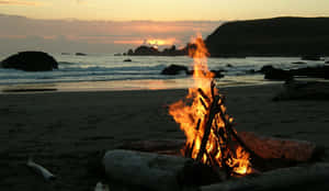 Enjoying A Beach Bonfire Under The Starry Sky Wallpaper