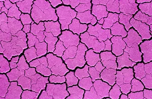 Enjoying A Beautiful Beach Sunset Wallpaper