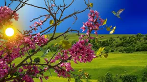 Enjoying A Beautiful Day With Flowers And A Laptop Wallpaper