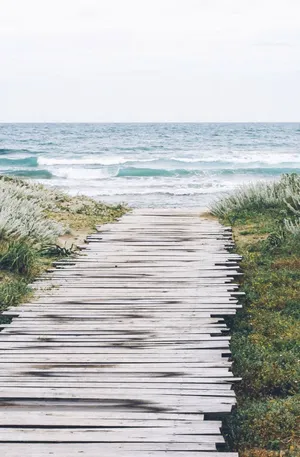 Enjoying A Beautiful Summer Beach Day With Your Iphone Wallpaper