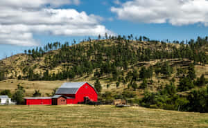 Enjoying A Day In The Serene Beauty Of A Ranch Wallpaper