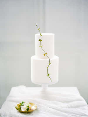 Enjoying A Delicious Slice Of Cake Fondant Wallpaper