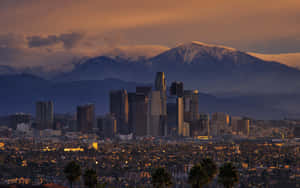 Enjoying A Dreamy Summer Day In California Wallpaper