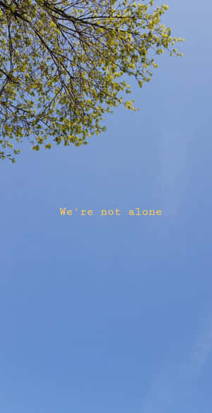 Enjoying A Relaxing Afternoon On The Beach With A Breathtaking Blue Sky Wallpaper