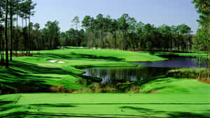 Enjoying A Round Of Golf Under The Sunny Skies Wallpaper