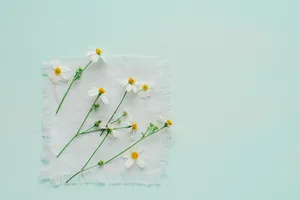 Enjoying A Sunny Afternoon In The Garden Wallpaper