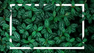 Enjoying A View Of The City Wallpaper