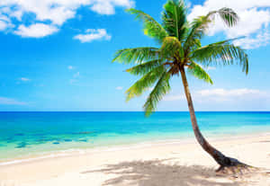 Enjoying Paradise On A Tropical Beach Wallpaper