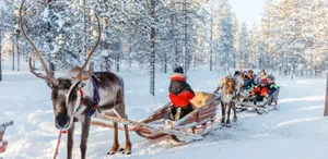 Enjoying The Beautiful Ocean Sunset Wallpaper