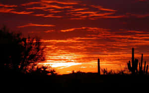 Enjoying The Beautiful Views Of Phoenix, Arizona Wallpaper